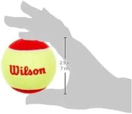 WILSON WILSON STARTER Raudonas (12) teniso kamuoliukai