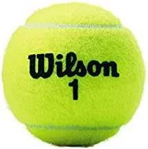 WILSON CHAMPIONSHIP (4) teniso kamuoliukai