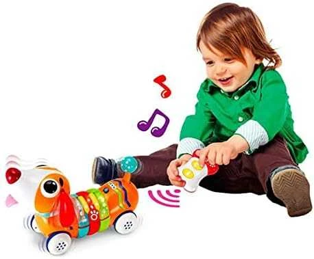 Smily Interaktyvus nuotoliniu būdu valdomas šuniukas WinFun