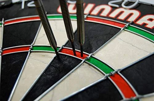 Smiginio taikinys WINMAU SFB