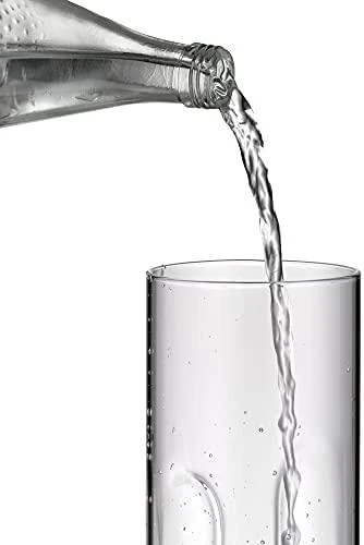 WMF 06.5104.6040 grafinas / ąsotis / butelis 0,8 L Sidabras, Permatomas