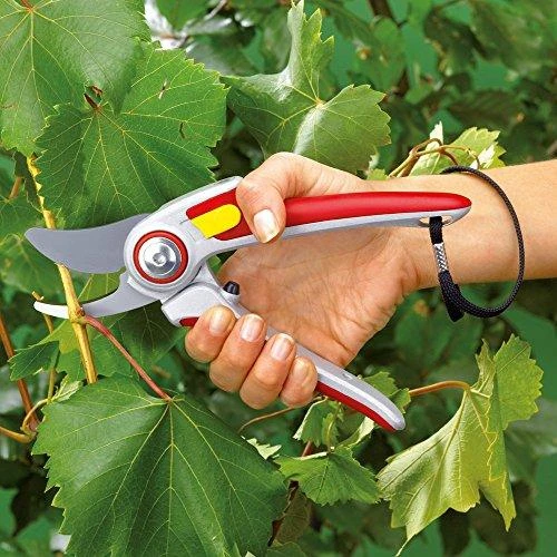 Sekatorius prasilenkiančiais ašmenimis "Professional" RR 5000, Wolf Garten