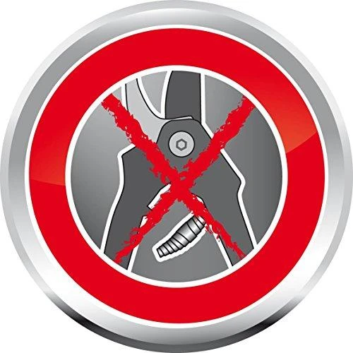 Sekatorius prasilenkiančiais ašmenimis "Professional" RR 5000, Wolf Garten