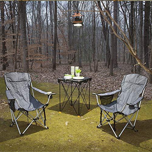 Worx darbo stalas 60x60cm (WX066)