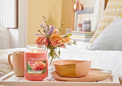 Yankee Candle Aromatinė didelė žvakė "Sun-Drenched Apricot Rose" 623 g