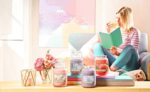 Yankee Candle Aromatinė didelė žvakė "Sun-Drenched Apricot Rose" 623 g