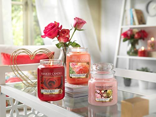Yankee Candle Aromatinė didelė žvakė "Sun-Drenched Apricot Rose" 623 g