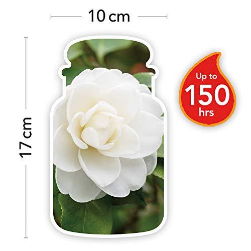 Yankee Candle Camellia Blossom Scented Candle, 623 g