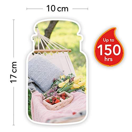 Yankee Candle Sunny Daydream kvapioji žvakė, 623 g
