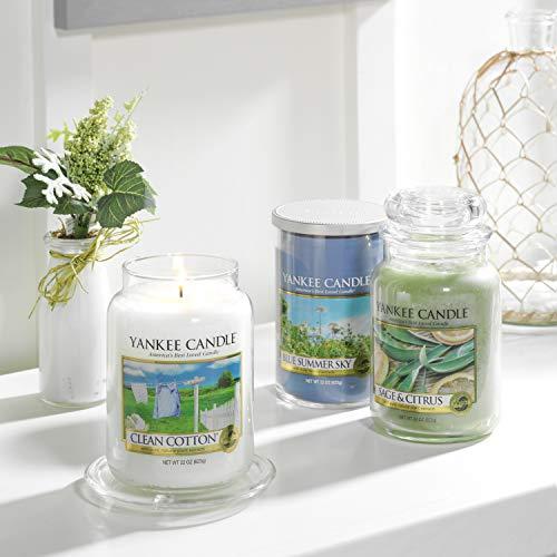 Yankee Candle Clean Cotton Scented Candle unisex, 104 g