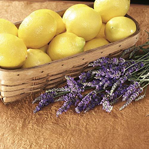 Yankee Candle Yankee žvakių citrinų levandų korpusas purškiklis ir difuzorius unisex, 120 ml