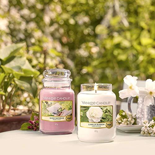 Yankee Candle Sunny Daydream kvapioji žvakė, 623 g