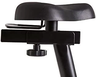 Dviratis treniruoklis Zipro Iconsole+ Flame