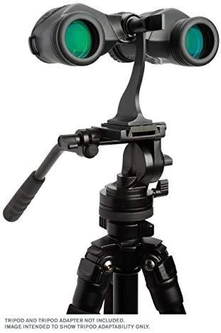 Žiūronai Celestron 71360