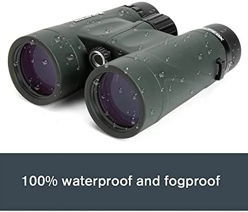 Žiūronai Žiūronų Celestron Nature DX 10x42 stogas