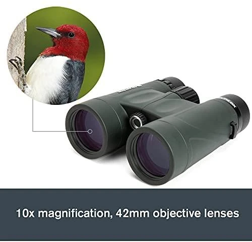 Žiūronai Žiūronų Celestron Nature DX 10x42 stogas