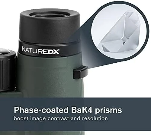 Žiūronai Žiūronų Celestron Nature DX 10x42 stogas