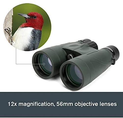 Žiūronai Celestron 71336