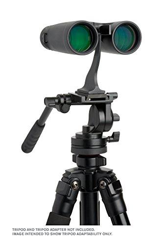 Žiūronai Celestron Outland X 10x42