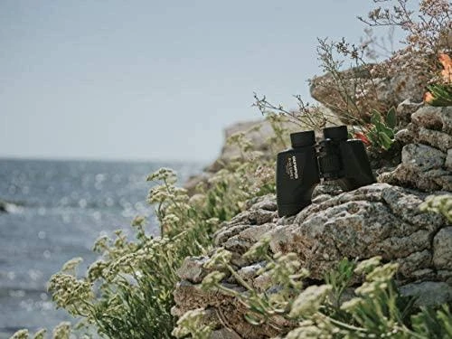 Žiūronai Olympus 8x42 EXPS I