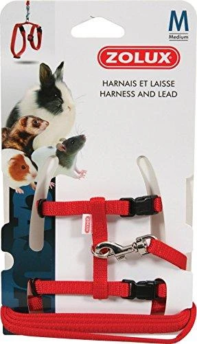 Zolux petnešos ir pavadėlis šeškams M, raudona