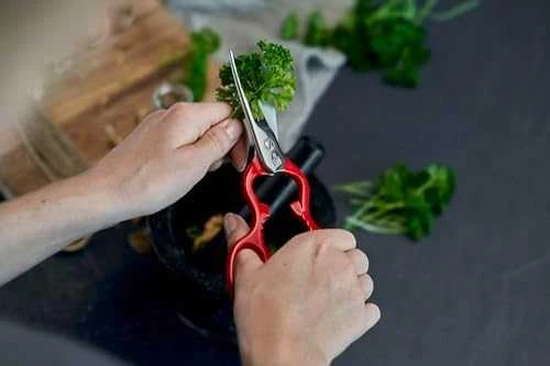 ZWILLING 43924-200-0 darbo stalo žirklės / figūrinės žirklės Raudona, Sidabras