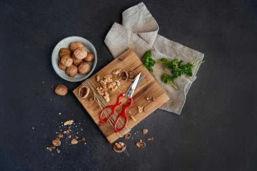 ZWILLING 43924-200-0 darbo stalo žirklės / figūrinės žirklės Raudona, Sidabras