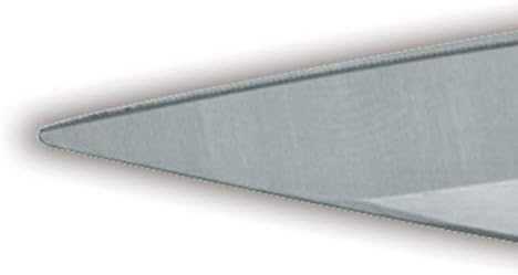 ZWILLING TWIN L Buitinės žirklės 19 cm