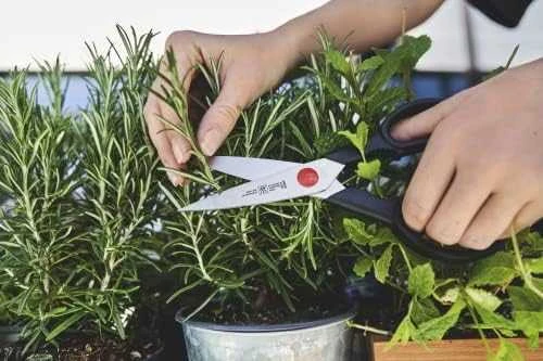 ZWILLING TWIN L Daugiafunkcinės žirklės 20 cm