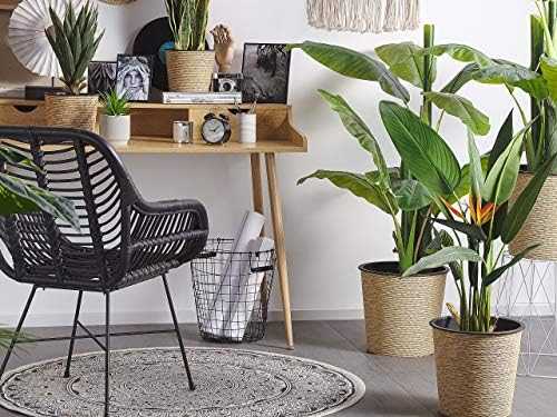 Beliani Dirbtinis augalas STRELITZIA TREE 115 cm žalias