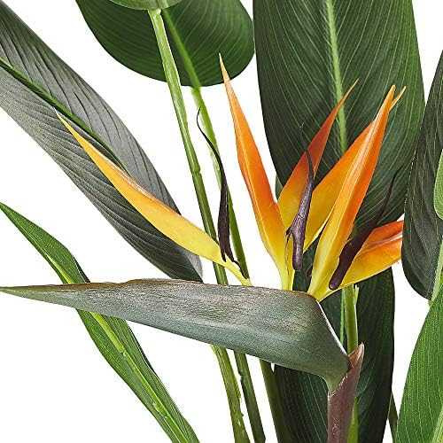 Beliani Dirbtinis augalas STRELITZIA TREE 115 cm žalias