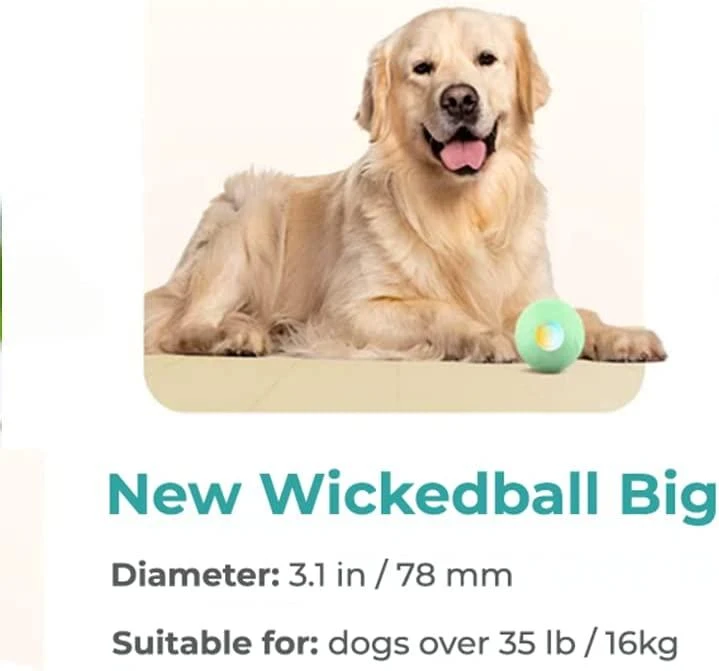 Cheerble Ball PE interaktyvus kisállat labda (Zöld)
