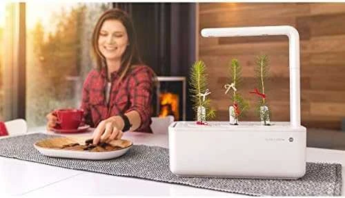Click & Grow sėklos išmaniajam vazonui - Lapinės garstyčios (SGR19X3) 3vnt.