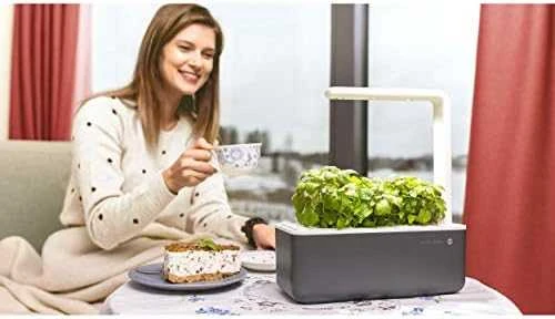 Click & Grow sėklos išmaniajam vazonui - Lapinės garstyčios (SGR19X3) 3vnt.