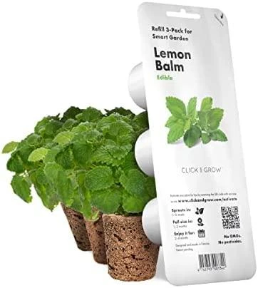 Click and Grow 3 vnt. papildymas - vaistinės melisos sėklos (lemon balm)