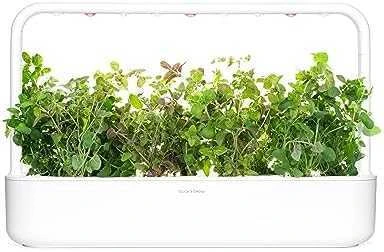 Click and Grow - "Smart Garden" 3 vnt. papildymas - raudonėlio sėklos