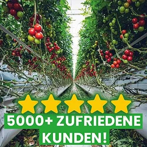 Būgninis sijotuvas RS400, Scheppach