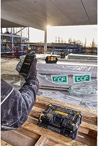 DeWalt DWST1-81078-QW Radijo imtuvas kroviklis