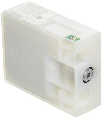 Epson rašalo kasetė Light Juodas T580700