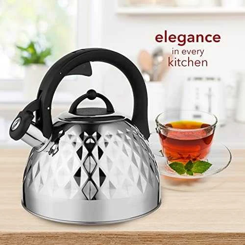 Florina Nerūdijančio plieno indukcinis ir dujinis virdulys Florina Fenny Mirror 2,5 l