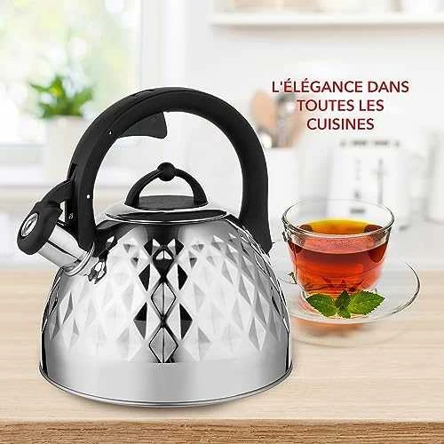 Florina Nerūdijančio plieno indukcinis ir dujinis virdulys Florina Fenny Mirror 2,5 l