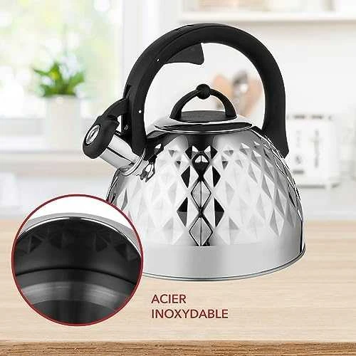 Florina Nerūdijančio plieno indukcinis ir dujinis virdulys Florina Fenny Mirror 2,5 l