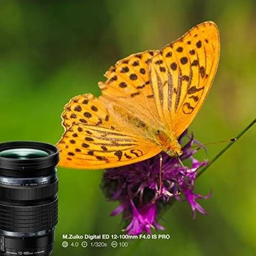 Olympus M.ZUIKO DIGITAL ED 12-100mm F4 IS PRO objektyvas