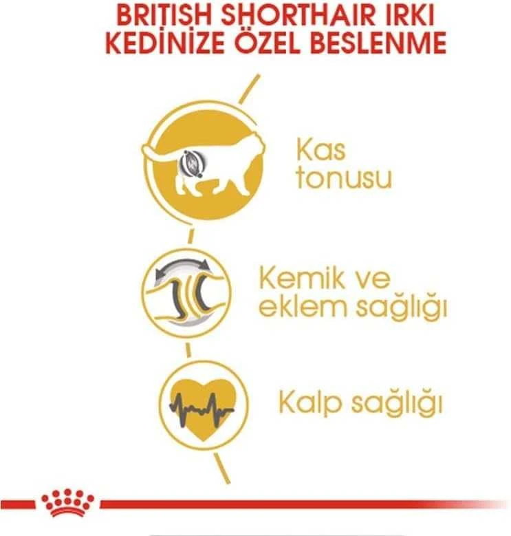 Royal Canin British Shorthair 2kg