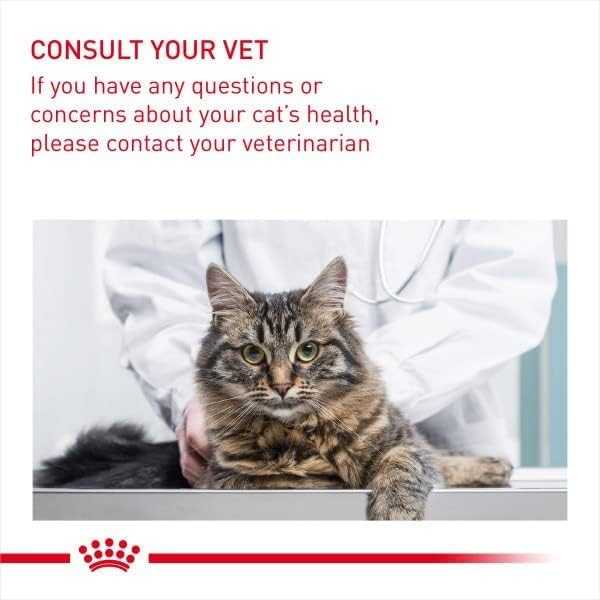 Royal Canin Hairball Care 4kg