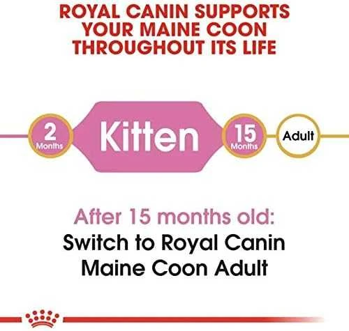 Royal Canin Maine Coon Kitten 4kg