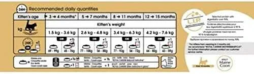 Royal Canin Maine Coon Kitten 2kg