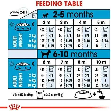 Royal Canin Mini Junior 4kg