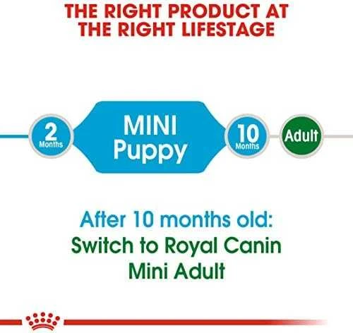 Royal Canin Mini Junior 4kg