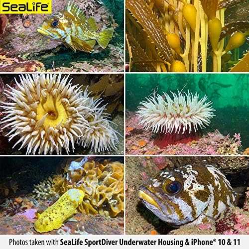 Dėklas Sealife SportDiver Underwater Išmanusis telefonas Housing (SL400-U) (35.335.400)